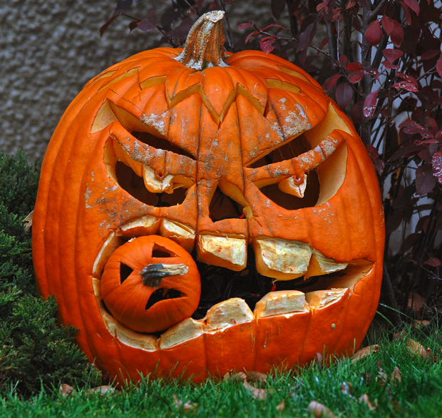 pumpkin intimidation
