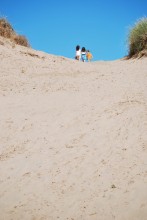 Wandering over sleeping bear dunes