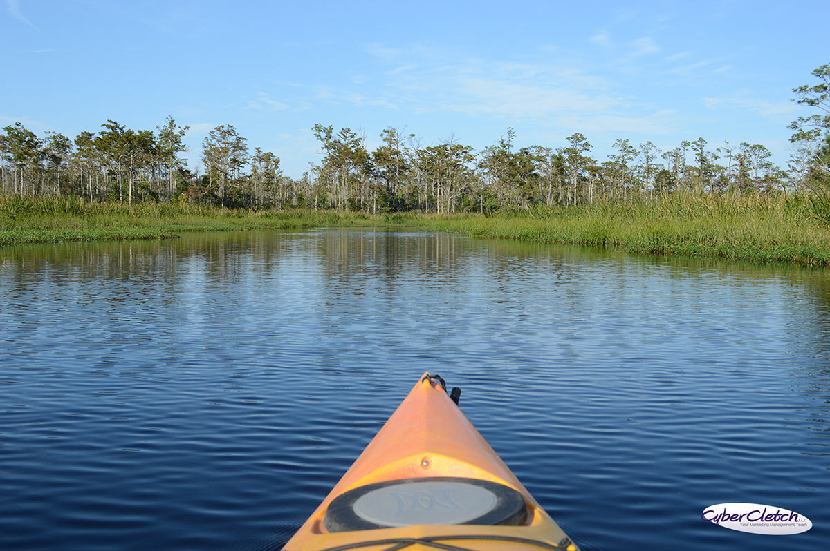 kayaking Alligator River