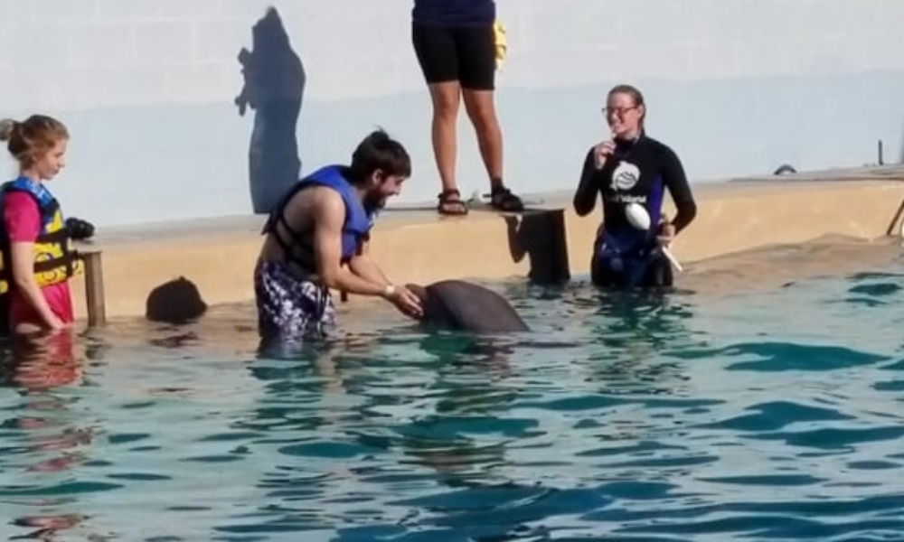Swimming with a Dolphin