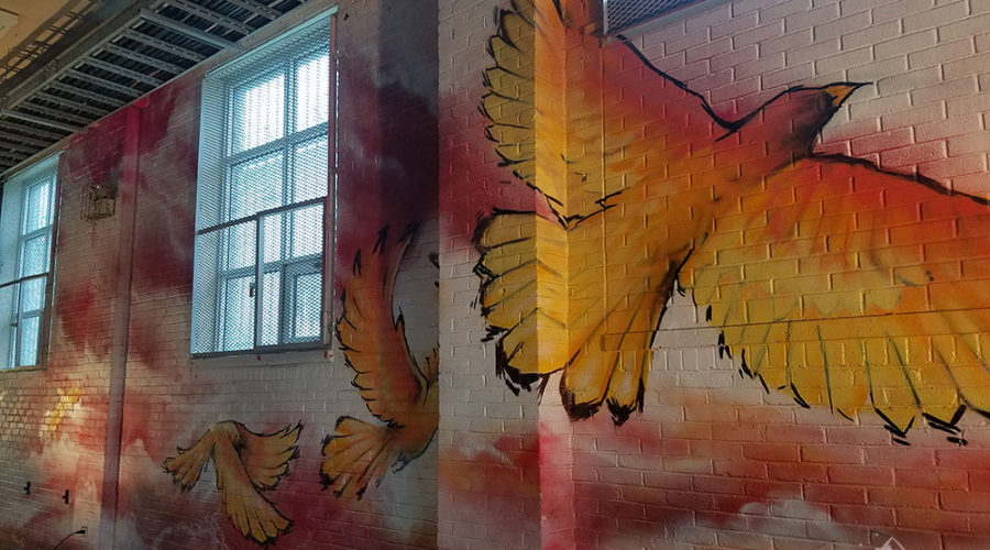 Bird in Flight painted on wall of Treatment Center Gym