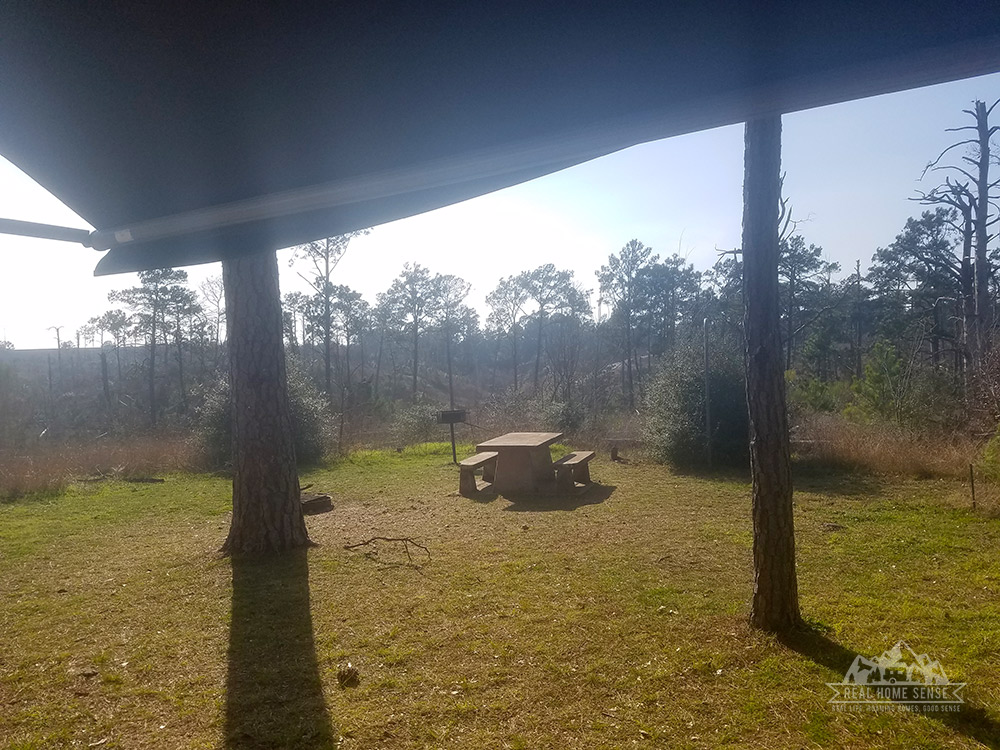 My campsite at Bastrop State Park