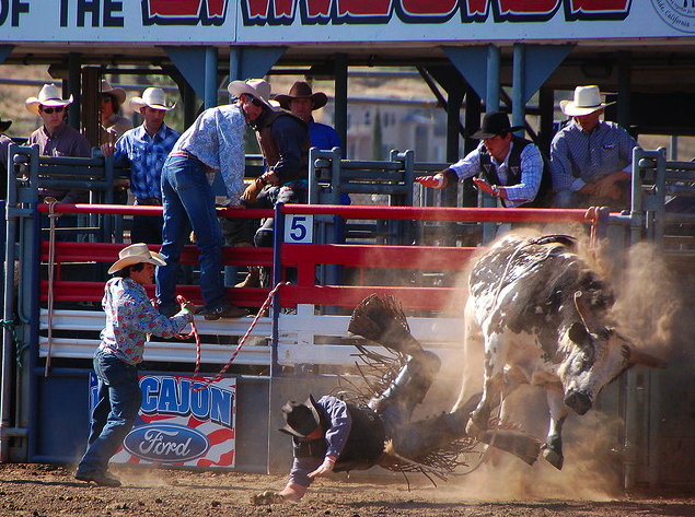 Riding the Bull