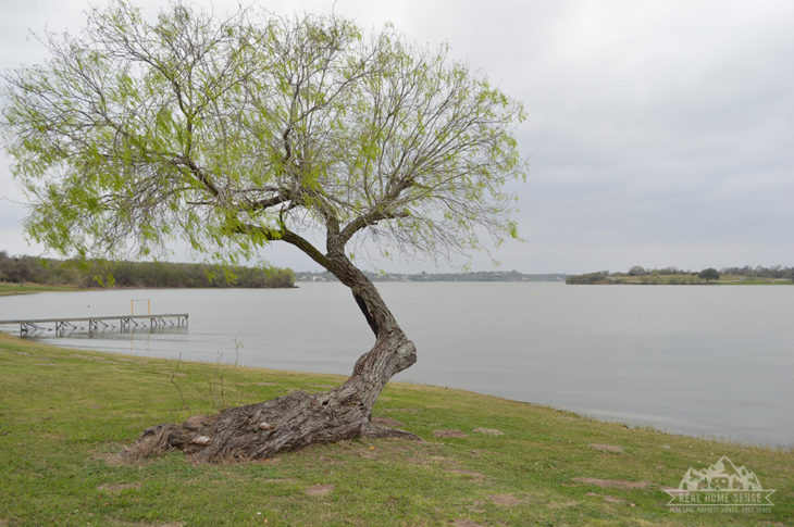 Lake corpus christi state park