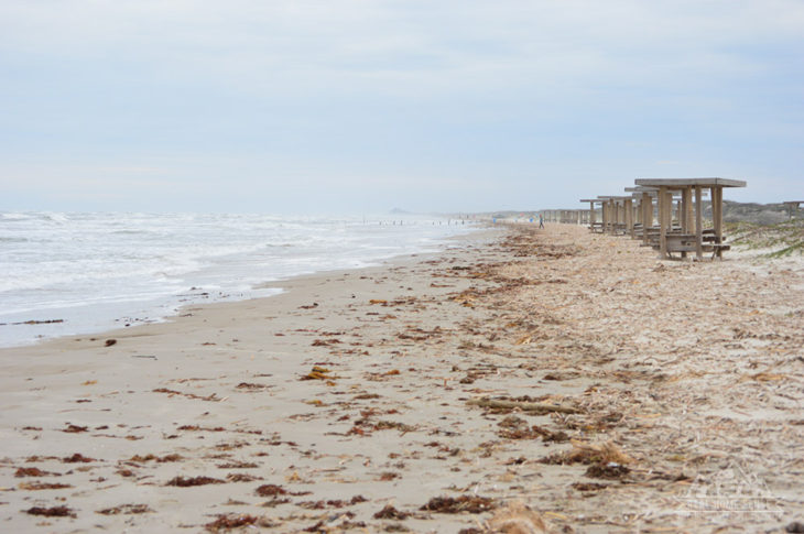 Mustang Island State Park Beach