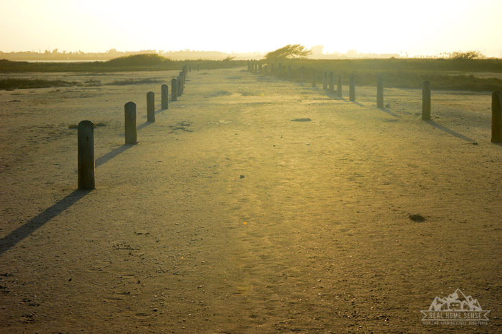 Packery flats coastal habitat path at sunset