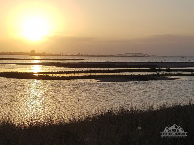 What to do eat around mustang island