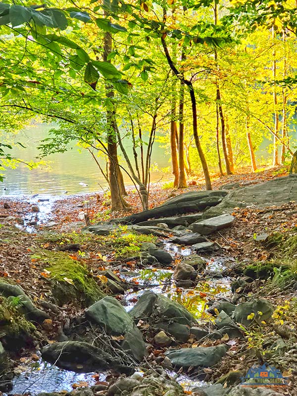 Smith Mountain Lake Hikes