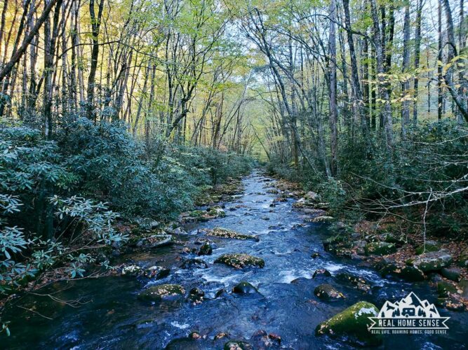 The Oconaluftee River in Smoky Mountain National Park