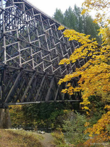 Side of kinsol trestle with fall tree