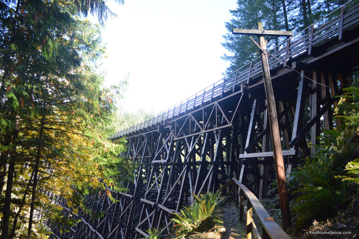 View of trail and Kinsol Trestle