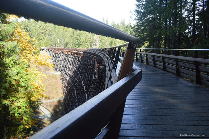 Kinsol Trestle - handle dripping with water