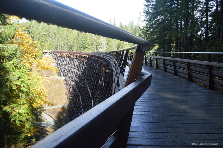 Kinsol trestle handle dripping with water