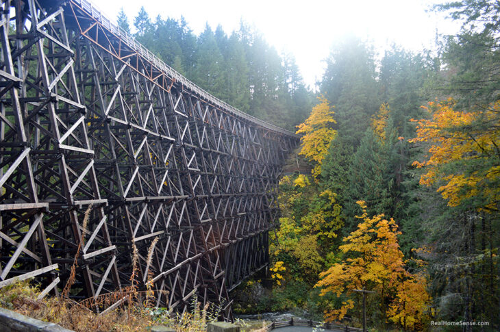 Fall at the kinsol trestle