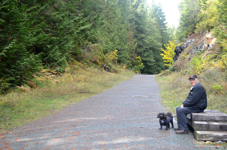 Kinsol trestle trail