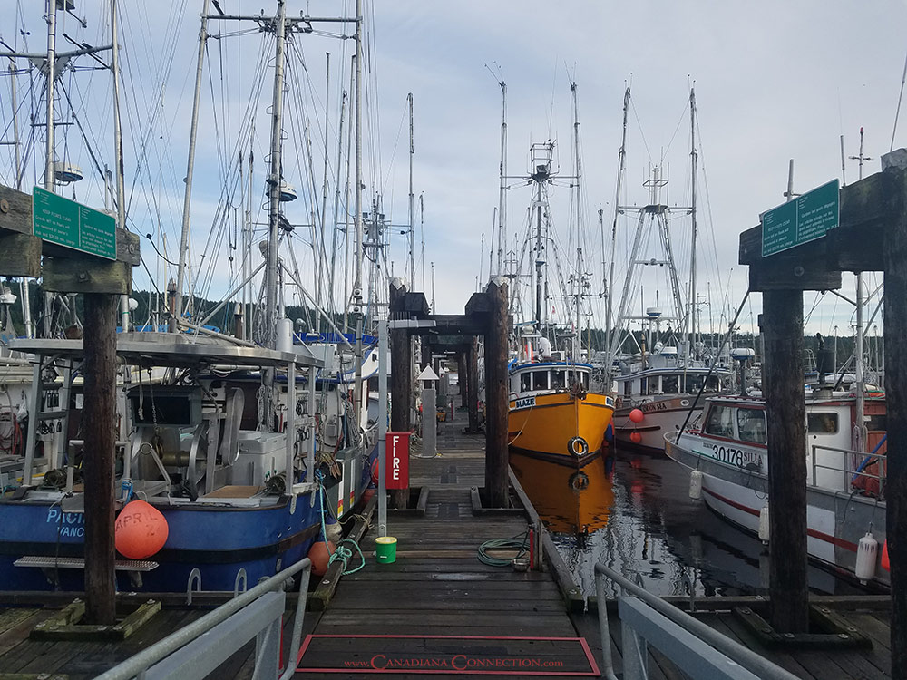 Ladysmith marina