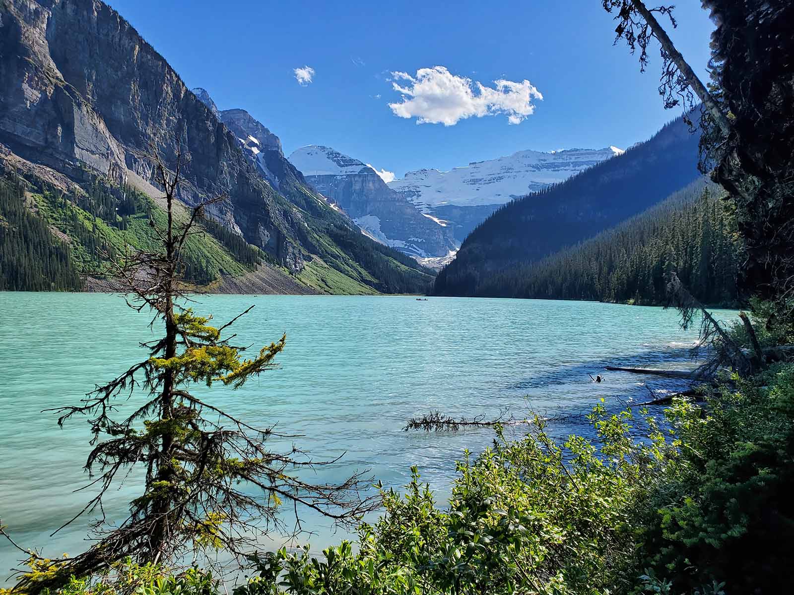 View of lake louise and glacier from the trail