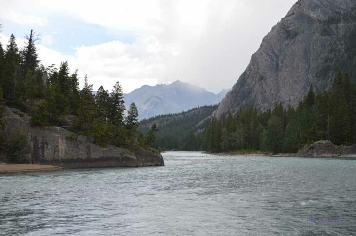 The bow river