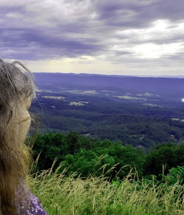 Day trip to shenandoah national park   pat surveying the views